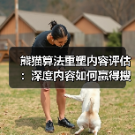 熊猫算法重塑内容评估:深度内容如何赢得搜索引擎青睐(图3) 熊猫算法重塑内容评估:深度内容如何赢得搜索引擎青睐(图3)