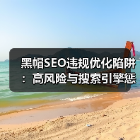 黑帽SEO违规优化陷阱:高风险与搜索引擎惩罚揭秘(图3) 黑帽SEO违规优化陷阱:高风险与搜索引擎惩罚揭秘(图3)