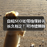 白帽SEO如何确保排名长久稳定?可持续策略全解析(图1) 白帽SEO如何确保排名长久稳定?可持续策略全解析(图1)