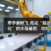 牵手赛默飞 完成“超进化”的水母基因，将如何搅局基因测序服务 - 推荐阅读文章