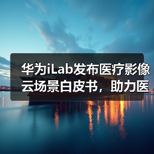 华为iLab发布医疗影像云场景白皮书,助力医疗影像上云(图3) 华为iLab发布医疗影像云场景白皮书,助力医疗影像上云(图3)