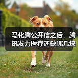 马化腾公开信之后,腾讯发力医疗还缺哪几块拼图?(图1) 马化腾公开信之后,腾讯发力医疗还缺哪几块拼图?(图1)