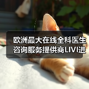 欧洲最大在线全科医生咨询服务提供商LIVI进军英国，能否改变 - 推荐阅读文章
