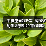 手机流量超PC？揭秘移动优先索引如何影响搜索排名 - 推荐阅读文章