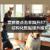 富摘要点击率飙升87%:结构化数据提升搜索排名的秘密(图2) 富摘要点击率飙升87%:结构化数据提升搜索排名的秘密(图2)