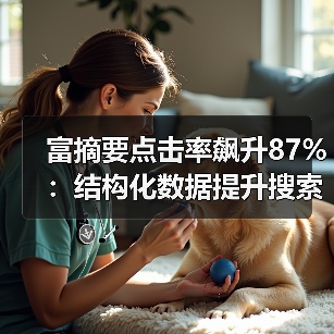 富摘要点击率飙升87%:结构化数据提升搜索排名的秘密(图3) 富摘要点击率飙升87%:结构化数据提升搜索排名的秘密(图3)