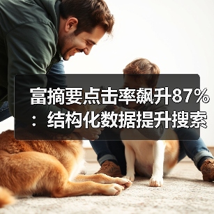 富摘要点击率飙升87%:结构化数据提升搜索排名的秘密(图4) 富摘要点击率飙升87%:结构化数据提升搜索排名的秘密(图4)