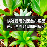 快速发展的医美市场面前,医美分期如何应对新变化?(图3) 快速发展的医美市场面前,医美分期如何应对新变化?(图3)