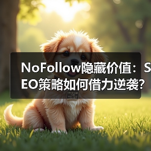NoFollow隐藏价值：SEO策略如何借力逆袭？（图4）