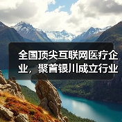 全国顶尖互联网医疗企业,聚首银川成立行业协会(图1) 全国顶尖互联网医疗企业,聚首银川成立行业协会(图1)