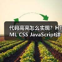 代码高亮怎么实现？HTML CSS JavaScript详解 - 推荐阅读文章