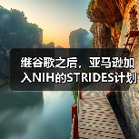 继谷歌之后,亚马逊加入NIH的STRIDES计划推动生物医学大数据研究(图2) 继谷歌之后,亚马逊加入NIH的STRIDES计划推动生物医学大数据研究(图2)