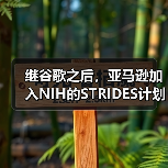 继谷歌之后,亚马逊加入NIH的STRIDES计划推动生物医学大数据研究(图4) 继谷歌之后,亚马逊加入NIH的STRIDES计划推动生物医学大数据研究(图4)