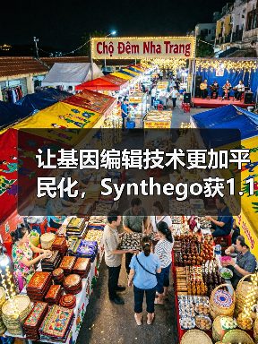 让基因编辑技术更加平民化，Synthego获1.1亿美元C轮 - 推荐阅读文章