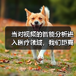 当对视频的智能分析进入医疗领域,我们距离挽救更多生命还有多远(图4) 当对视频的智能分析进入医疗领域,我们距离挽救更多生命还有多远(图4)