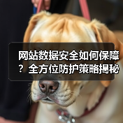 网站数据安全如何保障?全方位防护策略揭秘(图4) 网站数据安全如何保障?全方位防护策略揭秘(图4)