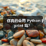 你真的会用 Python 的 print 吗？