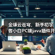金蝶云苍穹，新手初学者小白PC端java插件开发教学示例（图3）