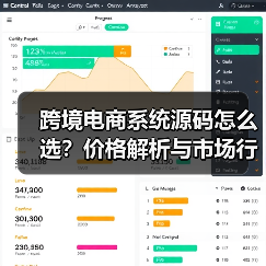跨境电商系统源码怎么选？价格解析与市场行情全攻略（图2）