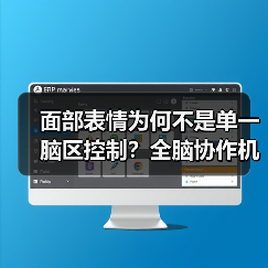 面部表情为何不是单一脑区控制？全脑协作机制揭秘 - 推荐阅读文章