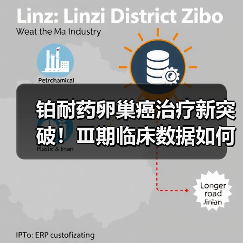 铂耐药卵巢癌治疗新突破！Ⅲ期临床数据如何改变治疗格局？（图3）