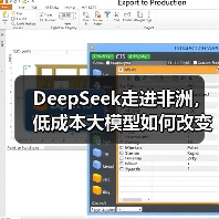 DeepSeek走进非洲，低成本大模型如何改变AI格局？ - 推荐阅读文章