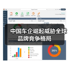 中国车企崛起威胁全球品牌竞争格局（图2）