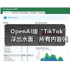 OpenAI版“TikTok”浮出水面:所有内容强制AI生(图1) OpenAI版“TikTok”浮出水面:所有内容强制AI生(图1)