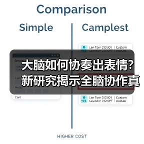 大脑如何协奏出表情？新研究揭示全脑协作真相（图2）