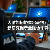 大脑如何协奏出表情？新研究揭示全脑协作真相（图4）