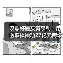 汉鼎好医友黄亨利：用医联体撬动27亿元跨境医疗市场 - 推荐阅读文章