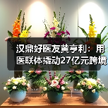汉鼎好医友黄亨利:用医联体撬动27亿元跨境医疗市场(图4) 汉鼎好医友黄亨利:用医联体撬动27亿元跨境医疗市场(图4)