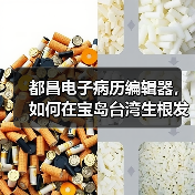 都昌电子病历编辑器，如何在宝岛台湾生根发芽（图3）