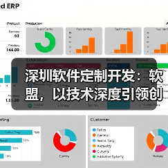 深圳软件定制开发：软盟，以技术深度引领创新未来 - 推荐阅读文章