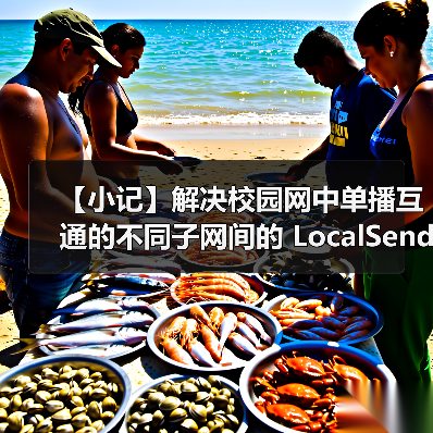 【小记】解决校园网中单播互通的不同子网间的 LocalSen