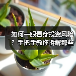 如何一眼看穿投资风险?手把手教你拆解那些藏在数字背后的秘密(图2) 如何一眼看穿投资风险?手把手教你拆解那些藏在数字背后的秘密(图2)