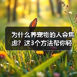 为什么养宠物的人会焦虑？这3个方法帮你轻松应对（图1）