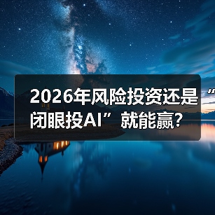 2026年风险投资还是“闭眼投AI”就能赢?(图4) 2026年风险投资还是“闭眼投AI”就能赢?(图4)