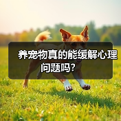 养宠物真的能缓解心理问题吗?(图4) 养宠物真的能缓解心理问题吗?(图4)