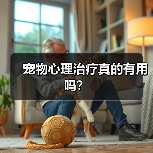 宠物心理治疗真的有用吗？（图4）