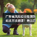 广东省风险投资集团到底该不该组建?看完四大优势与三大风险再定夺(图2) 广东省风险投资集团到底该不该组建?看完四大优势与三大风险再定夺(图2)