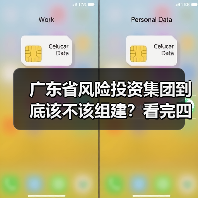 广东省风险投资集团到底该不该组建？看完四大优势与三大风险再定 - SEO优化技巧与策略